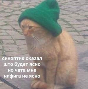 IMG_0582.jpeg