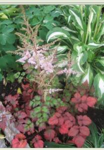IMG_0842.jpeg