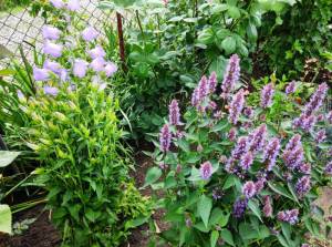 IMG_20260607_142757.thumb.jpg.ef87bf7bfc9667d19b865b8275caf0c8.jpg