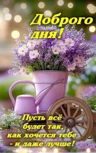 IMG_20260610_083549.jpg