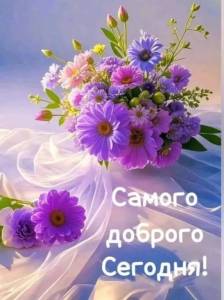 IMG_20260614_081732_566.jpg