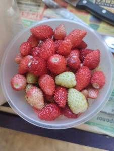 IMG_20260620_122154.jpg