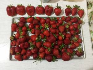 IMG_20260622_232334.thumb.jpg.d132e027af43b0aa8f6d6824005a2356.jpg