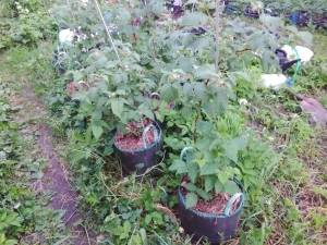 IMG_COM_202606142114146250.jpg