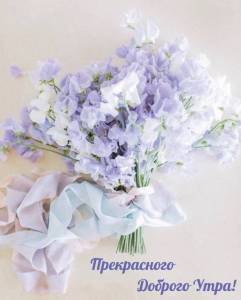 createpics_ru_1086.thumb.jpg.84b87bbc42acfec979a6eee50cf17090.jpg