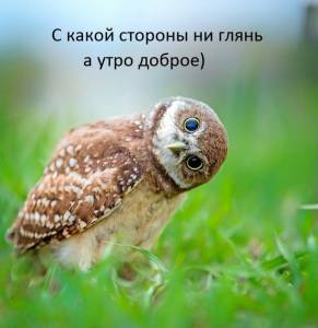 ewalls_ru_14641.thumb.jpg.eba102473b85c2770af0ca5bad9e3d1f.jpg
