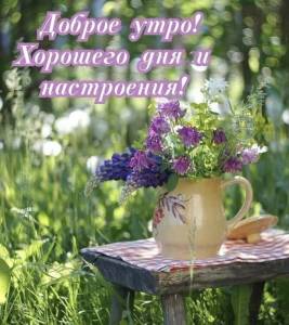 f45e93f2bdb1fe643519094fe8ce8f41.jpg