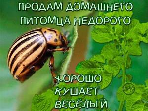 f53405b59f50139757367d5b01218eff.jpg