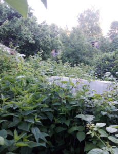 image.thumb.png.ca5292831d60cf49b95c34af10bf7196.png