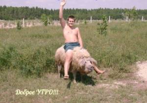 imagename_ru_17448.thumb.jpg.5dc69e4a67e77d1dccaba95d1ea5bfd3.jpg