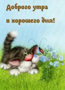 imagename_ru_17510.thumb.jpg.133ca390ecce75a935cffeb6b1639873.jpg
