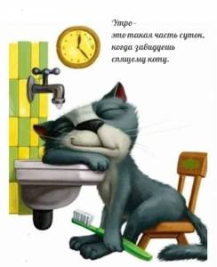 malinkakat_ru_12319.thumb.jpg.377f8b8408938460cd581ab030cdb774.jpg