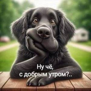 nu-ch-s-dobrym-utrom.thumb.jpg.4eb2b95eccae463cfc4e221e25f84bad.jpg