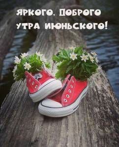 yarkogo-dobrogo-iyunskogo-utra.gif