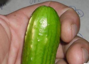 1.thumb.JPG.4b24a8f4890e0bfd3556f738c81fbc37.JPG