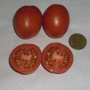 1.thumb.JPG.90d1f7961d51bcbbf724dee650b5cc1c.JPG