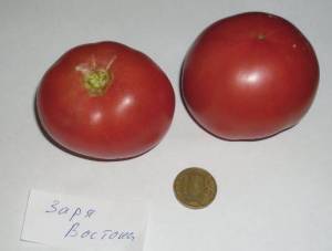1.thumb.JPG.cc83e25d45f28a8b26298fb919eae761.JPG