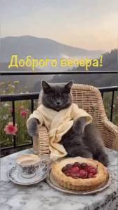 image (93).jpg