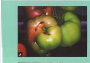 1401812598_.thumb.png.a9b3476a06f71a9b76be502a42bd070b.png