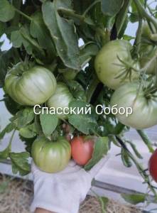 IMG_20260719_213938~2.jpg
