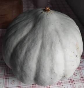1509114591_.thumb.jpg.30e6818750610c70f4c21cce43eb0c43.jpg