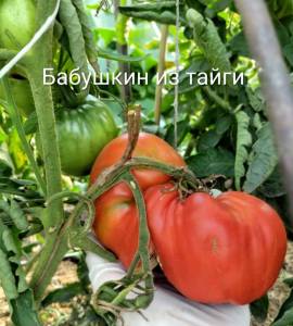 IMG_20260715_193750~2.jpg