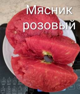 IMG_20260720_145646~2.jpg