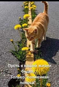 18b7dd218bd3abff1ef48ffc6d13ea68.jpg