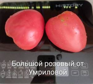 IMG_20260708_105345~2.jpg
