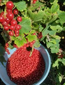 IMG_20260712_161713~2.jpg