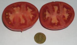 2.thumb.JPG.2ea7fa74dba0245f7addd9bb88693fa3.JPG