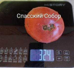IMG_20260726_175012~2.jpg