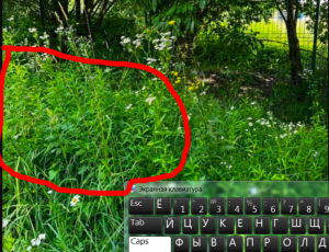 2026-07-06_13-50-09.thumb.png.25dc65e1fd6292e3edfdc6946ec5e22c.png