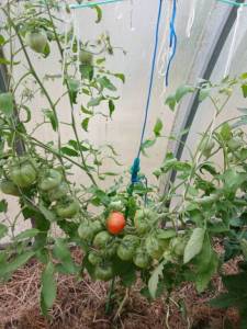 20260706_130358.jpg