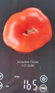 20260709_134933.jpg