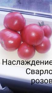 20260709_174334.jpg