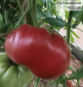 20260719_190430.thumb.jpg.68d3d7a4f67427f6b4095cdde1cab0d6.jpg
