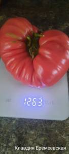 20260723_085421.jpg