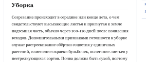 сроки уборки  чеснока.png