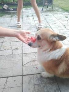 леня.jpg