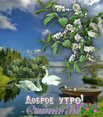 dobroe-utro (1).gif