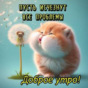 22110035_____.thumb.jpg.654ba850ae8bfb34edd784932aa1fbd6.jpg