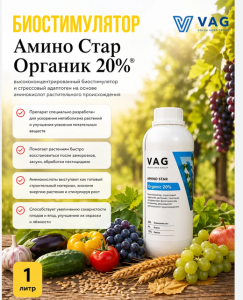 изображение.png