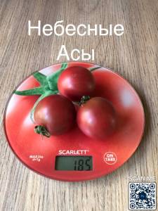 2CE8040C-7CFB-4F1D-80BA-266CB05D382E.jpeg