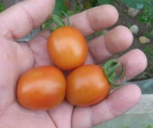 3.thumb.JPG.2ddb8ada8672b6570c76f2ee95bb990a.JPG