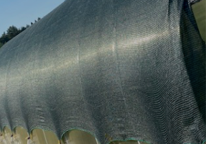 382985541_2026-07-0510_07_46.thumb.png.e75f73f565c09b26eb282f5e838e353d.png