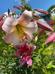 3D2E18C6-8D53-4615-B082-BEE541A2DFD7.jpeg