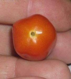 4.thumb.JPG.06278cdea0ece69a84ddd9fa658ea95d.JPG