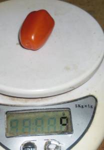 5.thumb.JPG.3c74b6f0b93dee132cb817105b9db5b9.JPG