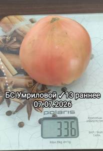 5.thumb.jpg.6a86478aa639e5d4b4f8bff0dc429719.jpg